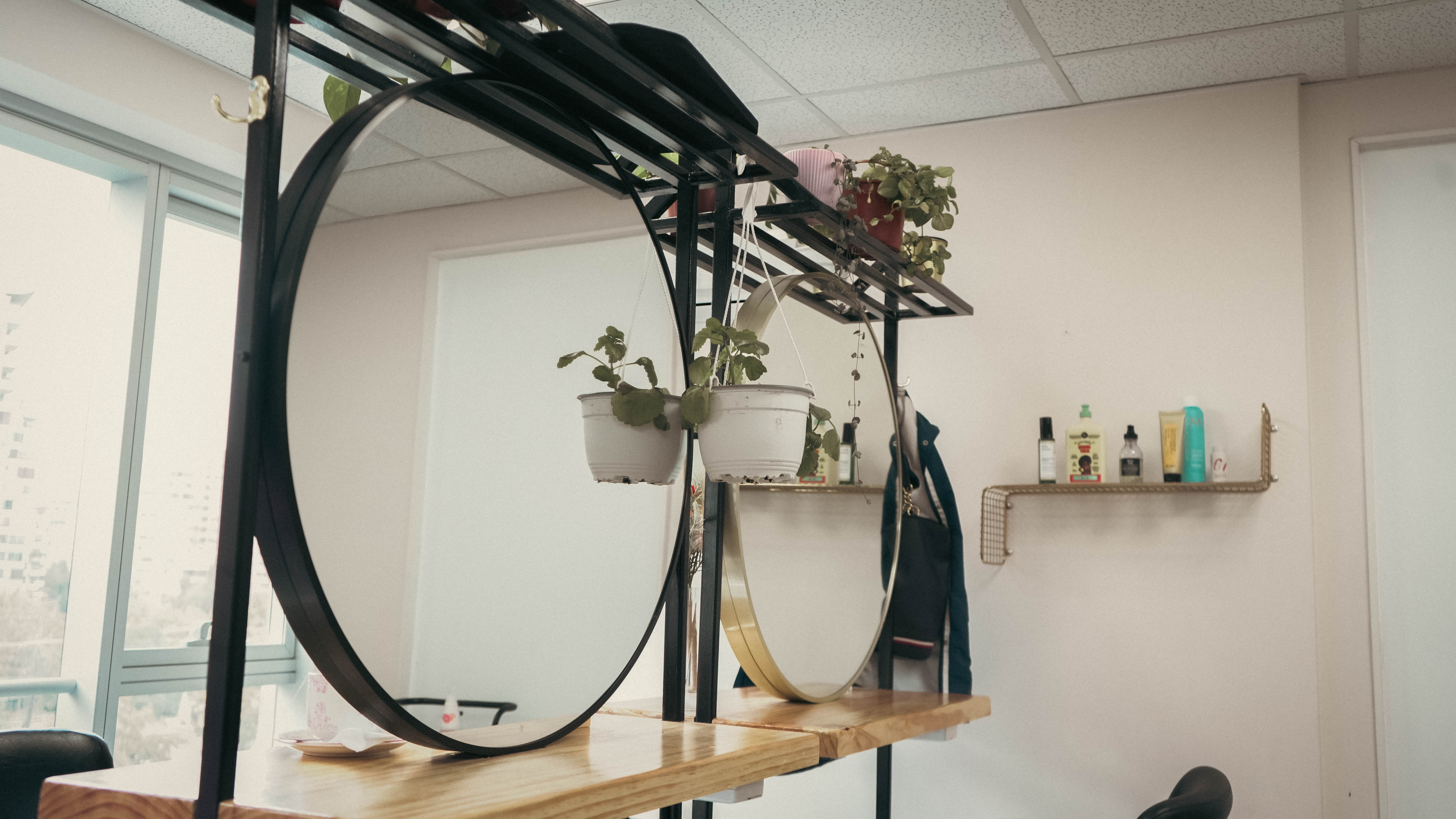 Plantas sobre el espejo